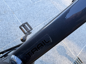 Cannondale Trail 2020