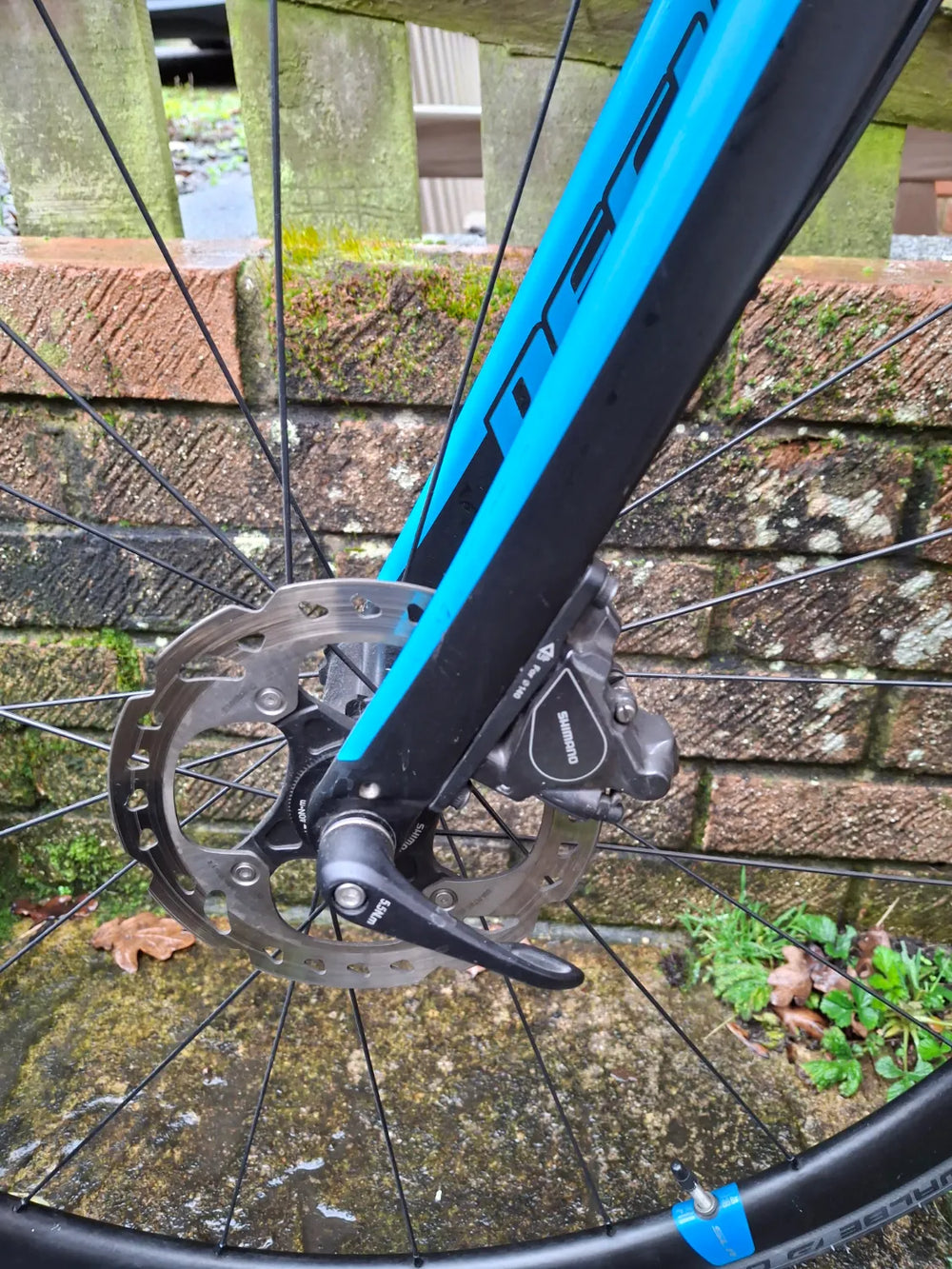 Giant Defy Advanced 1 2019