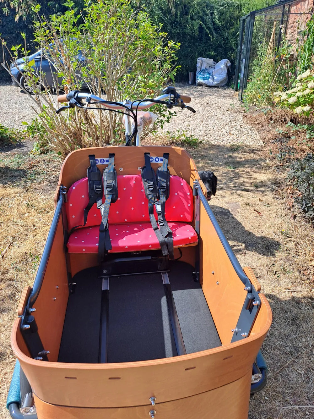 Babboe Carve Mountain eCargo Trike Yamaha 70Nm Wood 2024