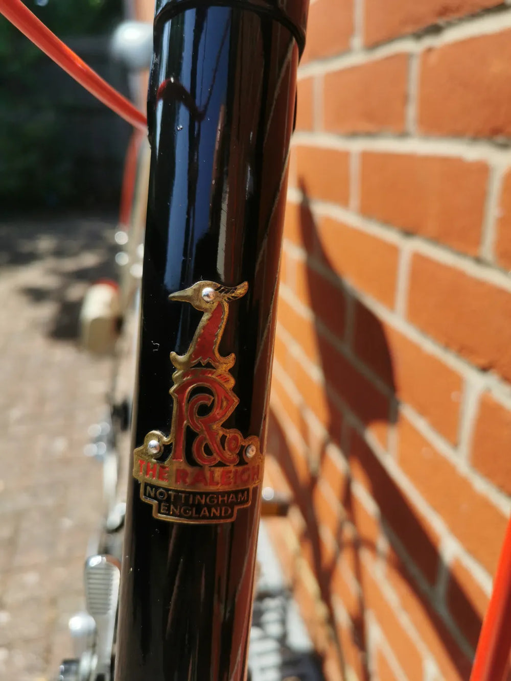 Raleigh Winner 1982