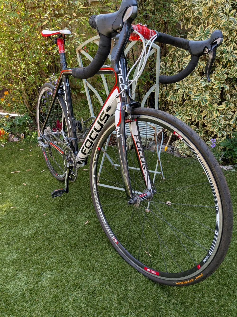 Focus Cayo Ultegra 2016