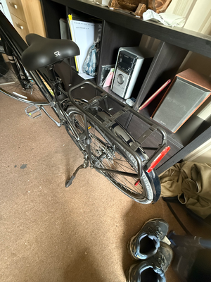Trek Verve 1 Equipped 2025