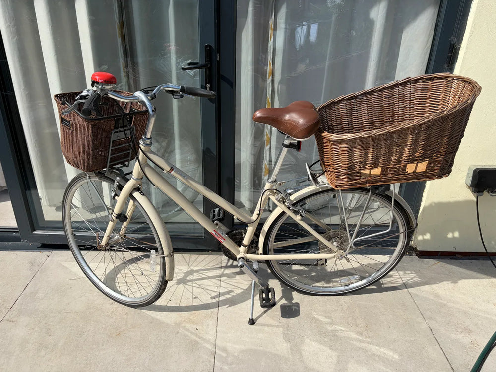 Trek Allant 2019