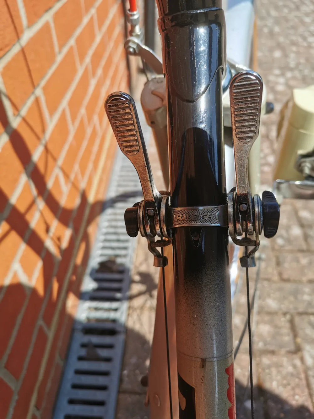 Raleigh Winner 1982