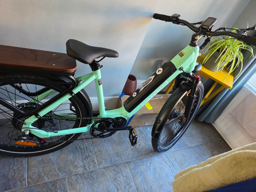 Crazybird Seta 2025