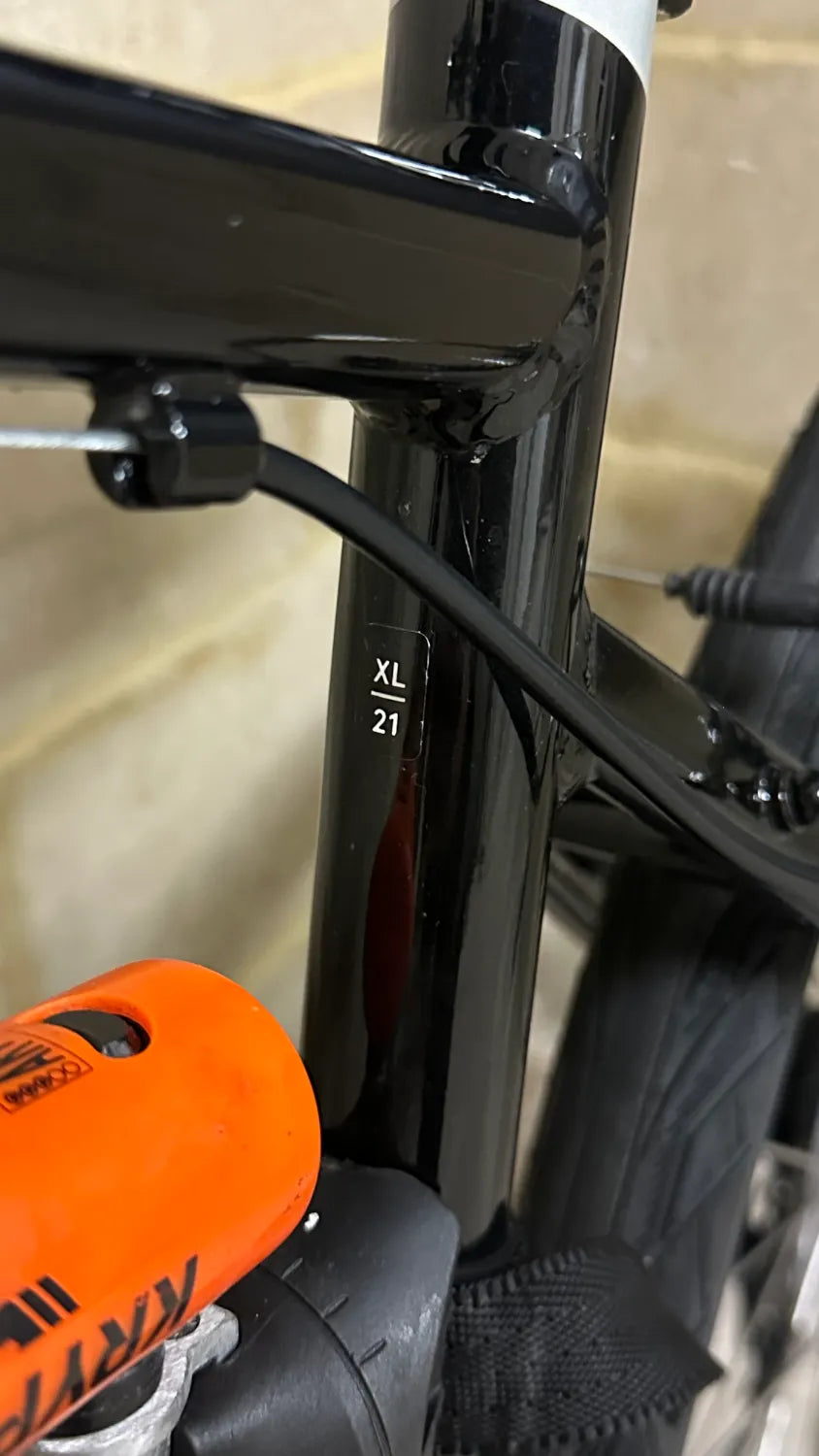 Ridgeback Comet 2024