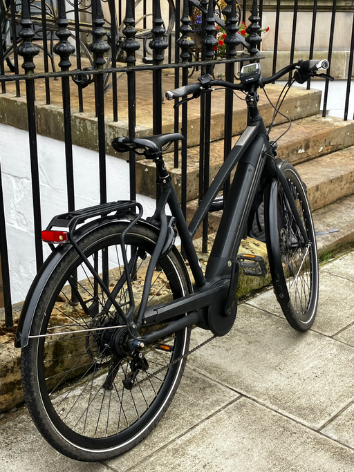 Gazelle CityZen T9 HMB 2019