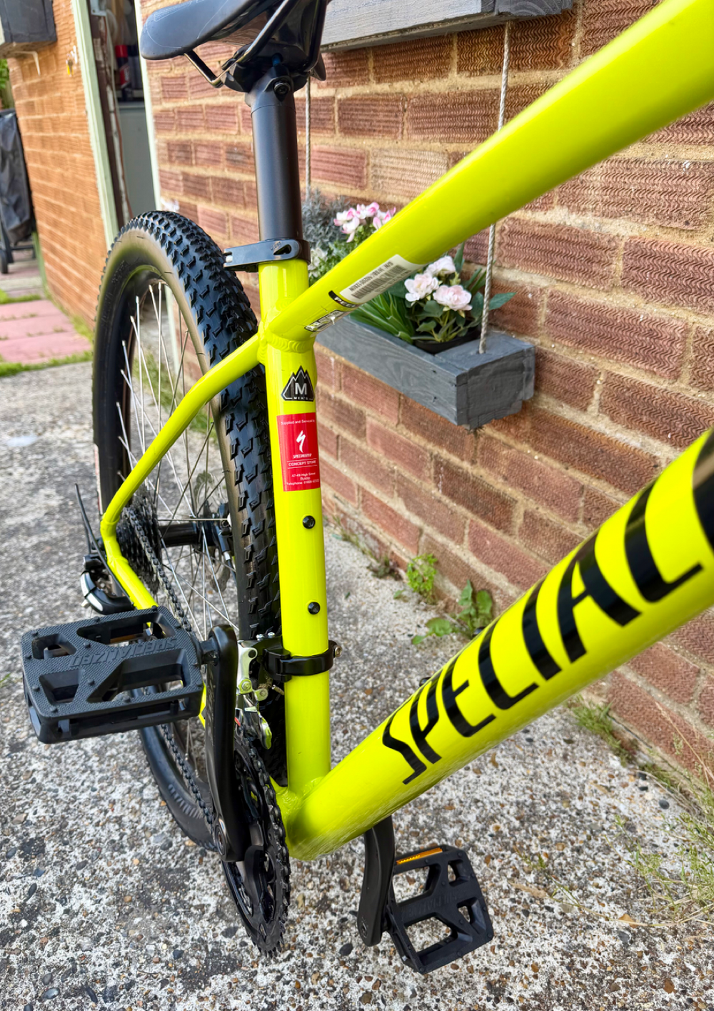 Specialized Rockhopper 29 2023