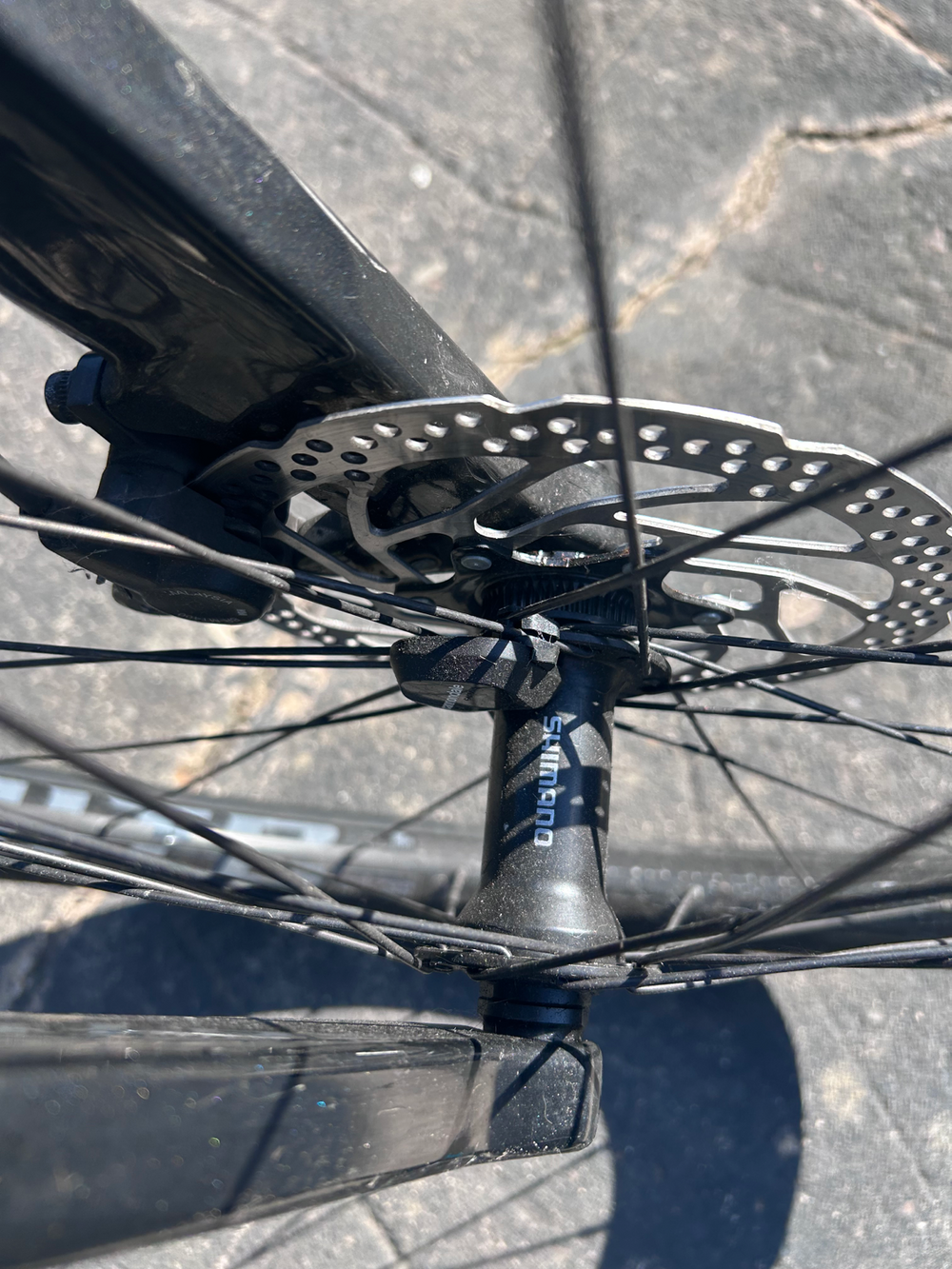 Cannondale Canvas Neo 2 2024
