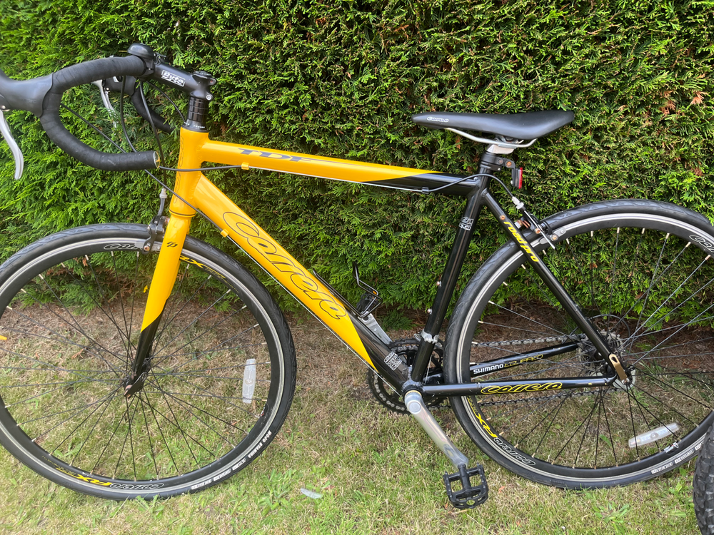 Carrera Tdf 2019