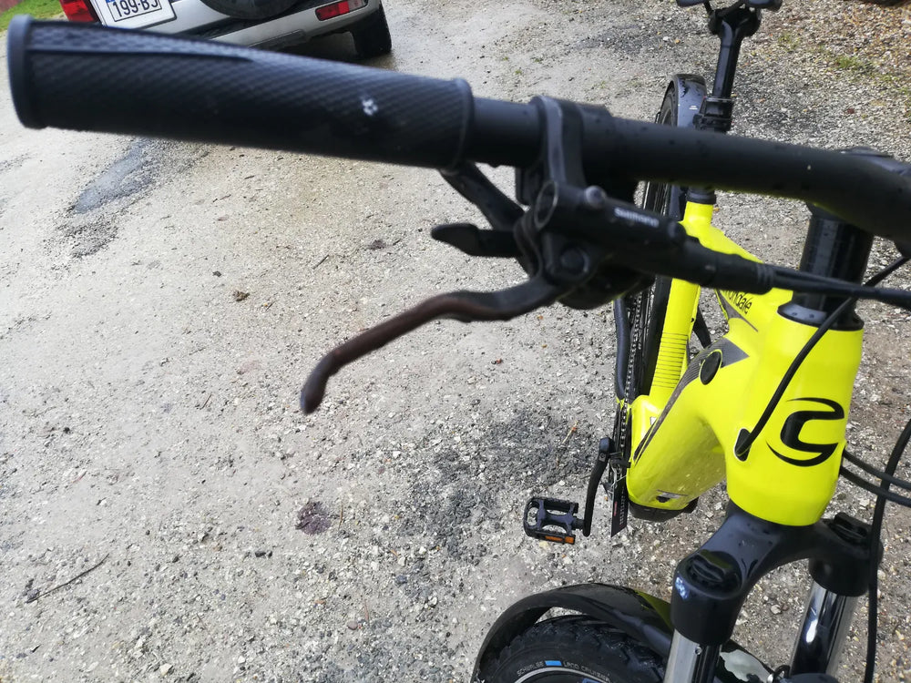 Cannondale Trail Neo 4 2021