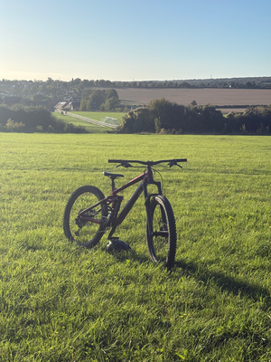 Trek Remedy 7 2022