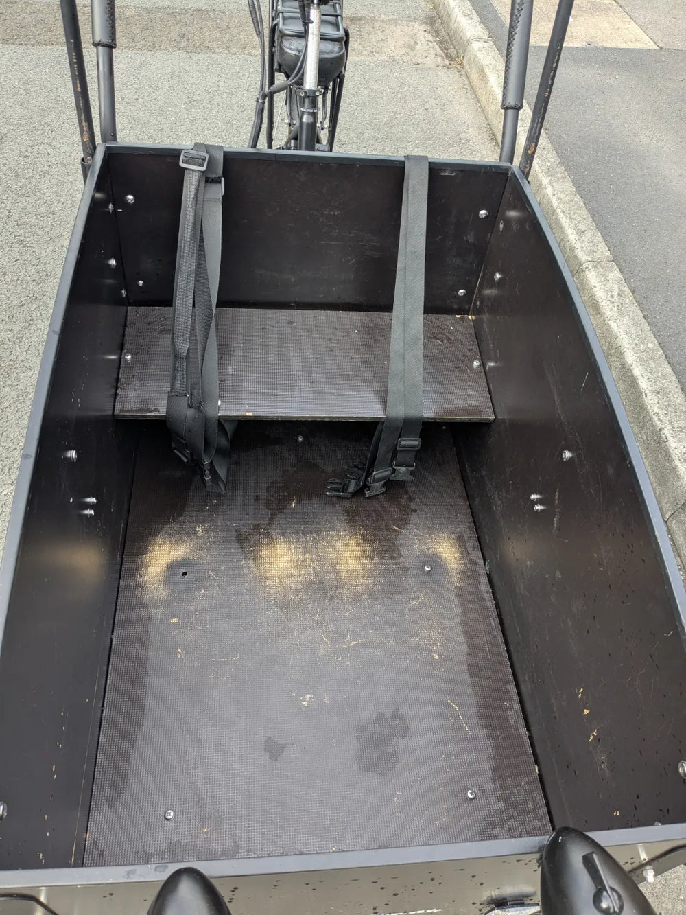 AmCargo Ultimate Curve  2021