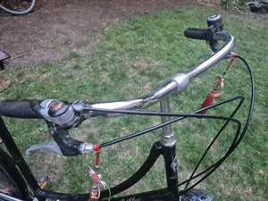 Pashley Princess Sovereign 5 Speed