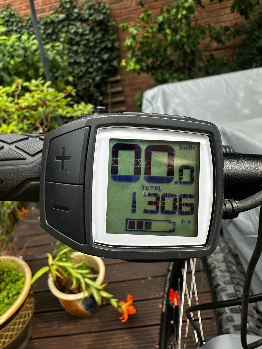 Cube Reaction Pro 29 2019