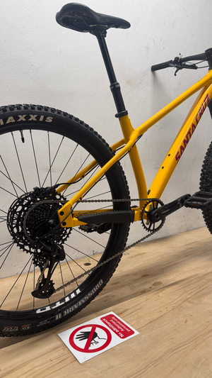 Santa Cruz Chameleon R / Aluminum / 29 2022