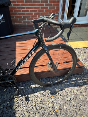 Giant TCR 2 2024