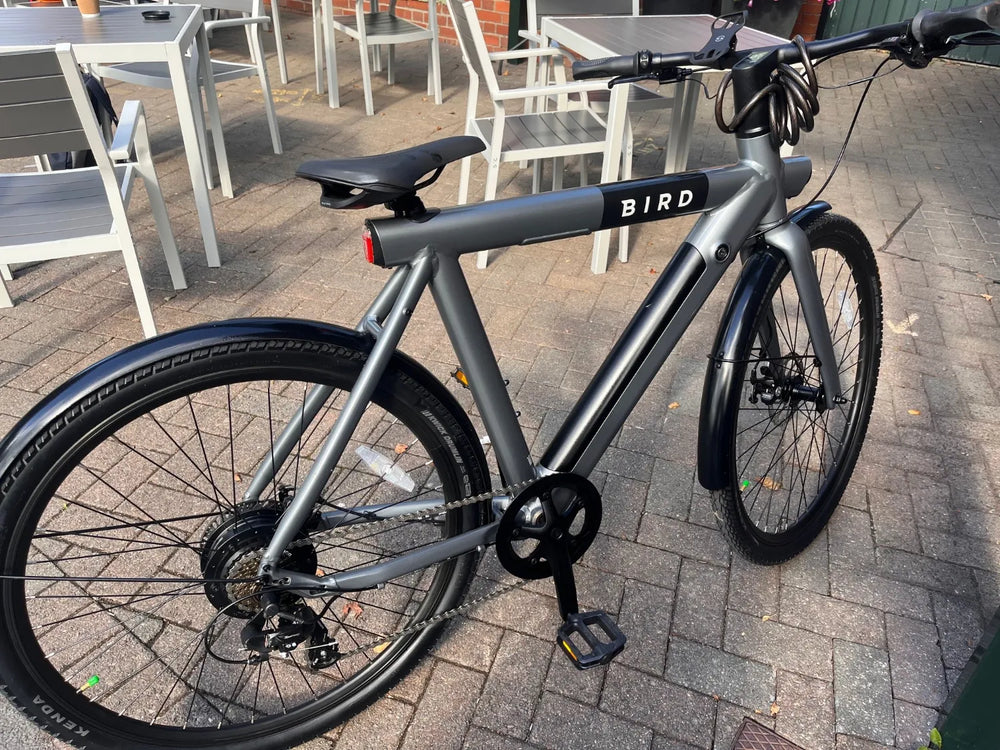 BirdBike A-Frame 2023