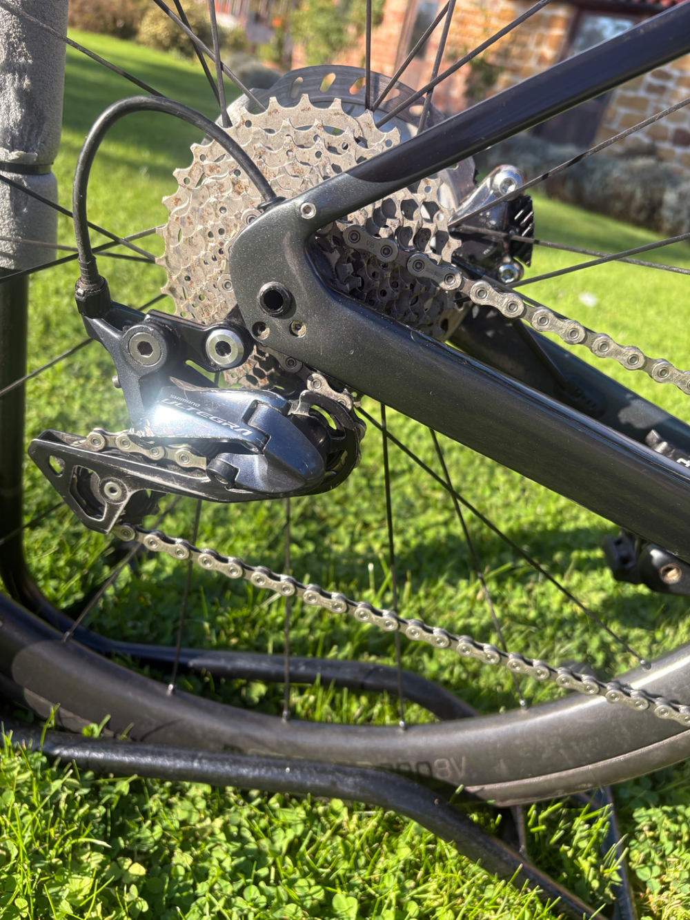 Trek Domane SLR6 2021