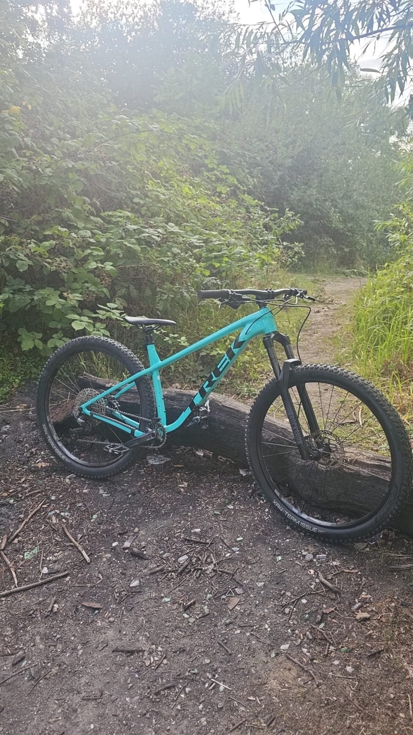 Trek Roscoe 7 2024