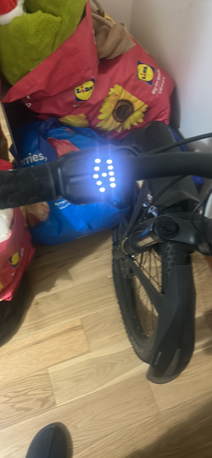 Giant Talon E+ 2 2022