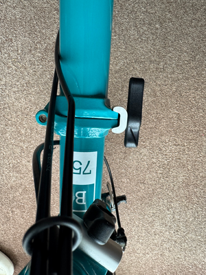 Brompton B75 2019