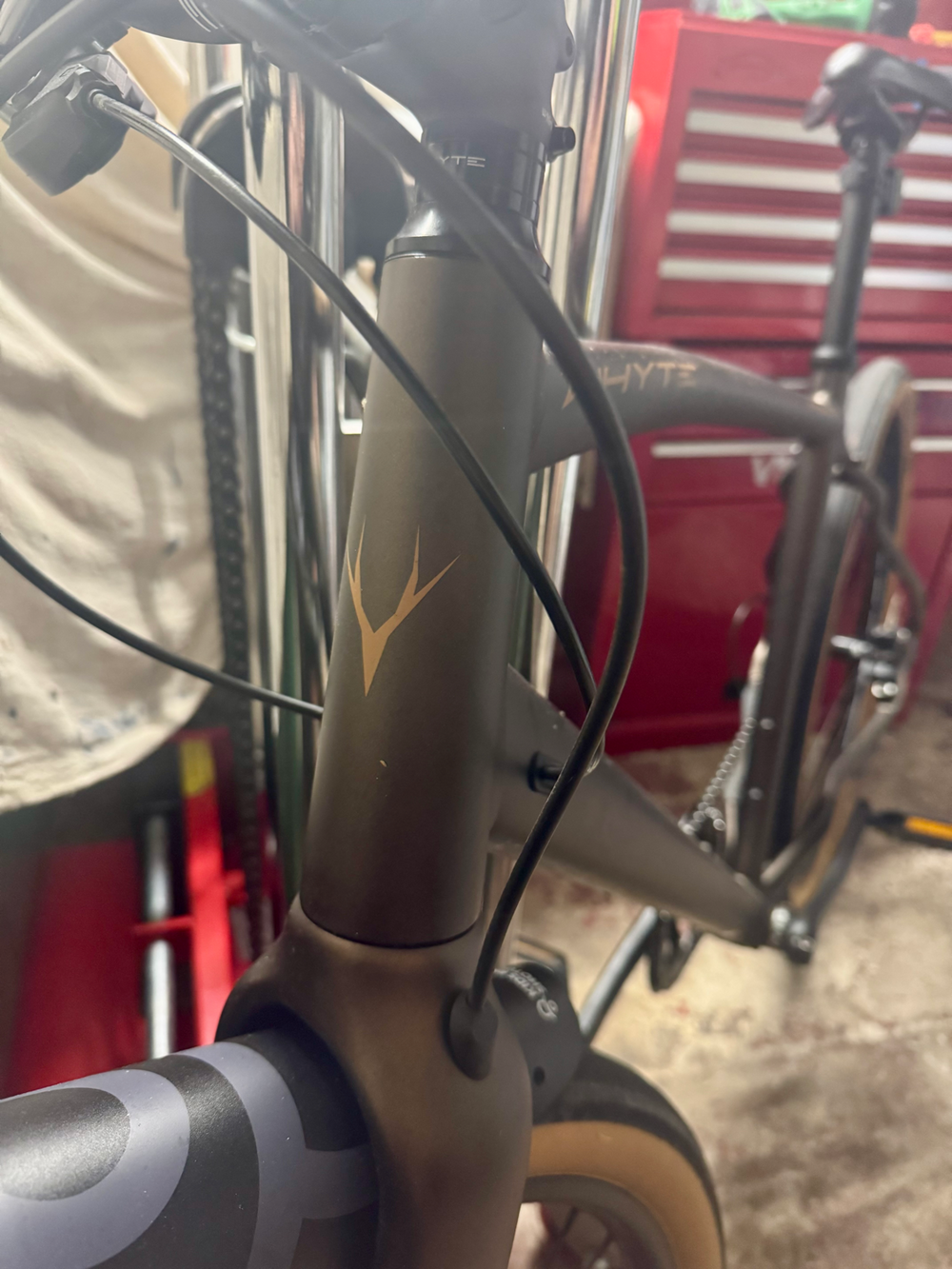 Whyte Portobello 2023