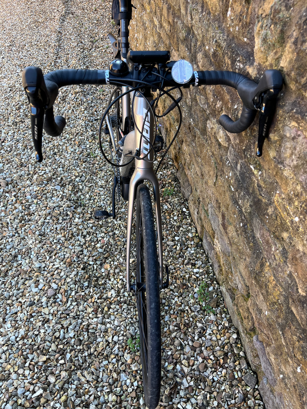 Giant E+2 Pro 2020