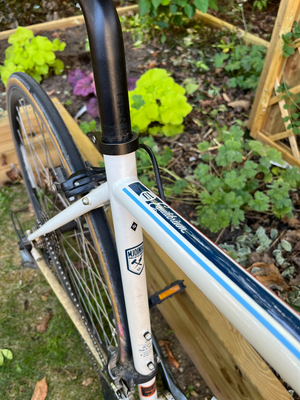 Genesis Equilibrium 10