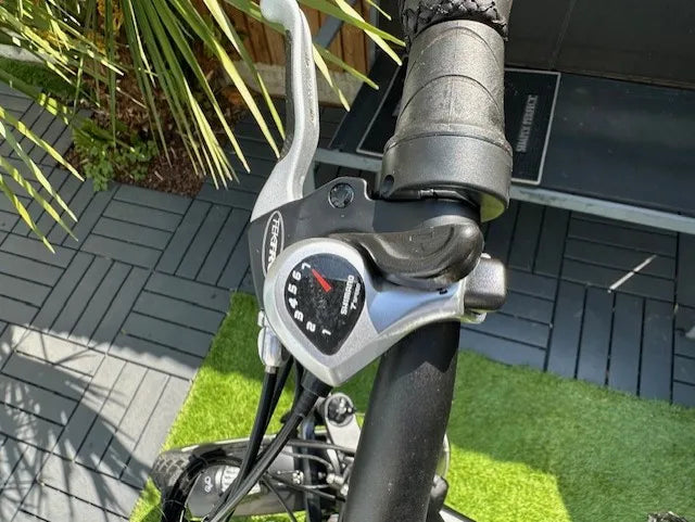 Rad Power Bikes RAD MINI 4 2020