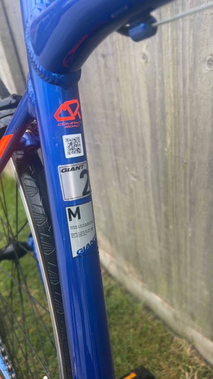 Giant Contend 2 2017