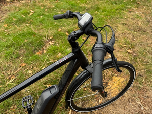 Raleigh Motus Grand Tour 2019