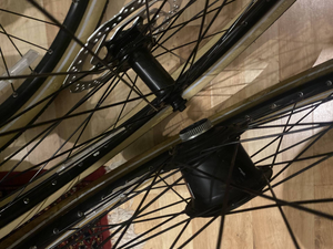 Momentum Transend E+ 2024