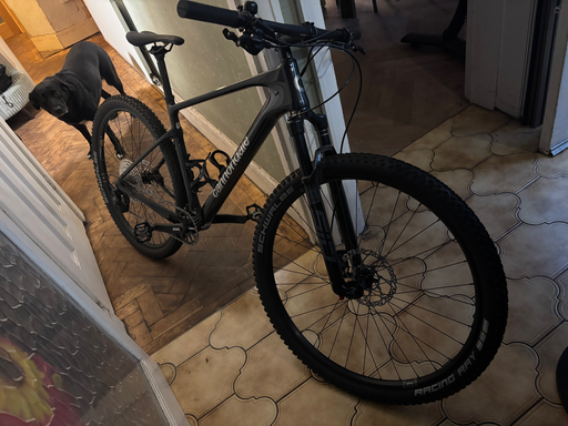 Cannondale Scalpel HT Carbon 3 2025