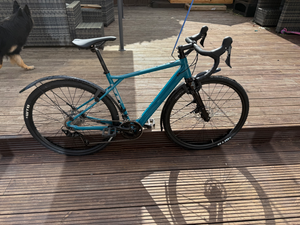 GT eGrade Bolt 2024