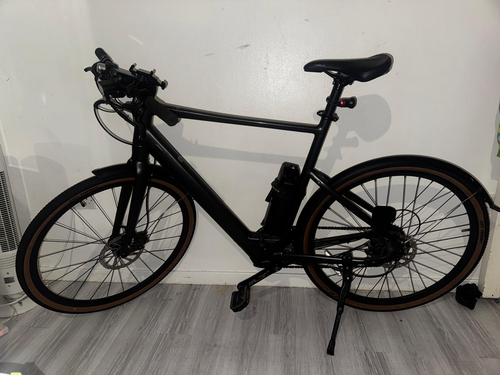 Fiido Fiido C21 E-Gravel & City E-Bike 2024