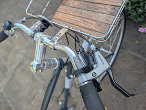 Handsome Cycles She Devil 2018