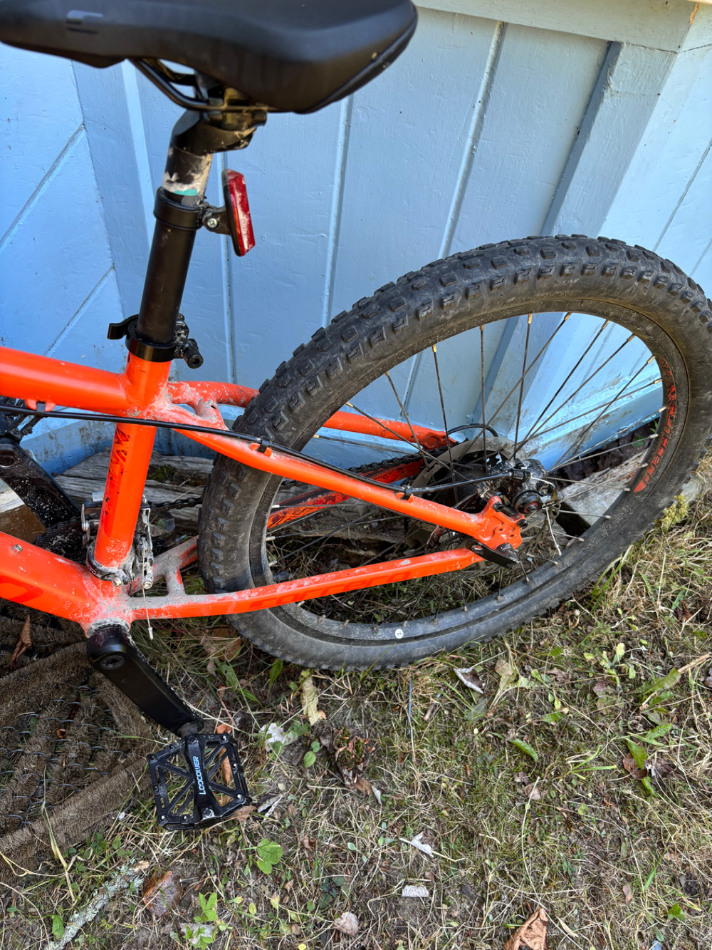 Carrera Blast Junior 2021