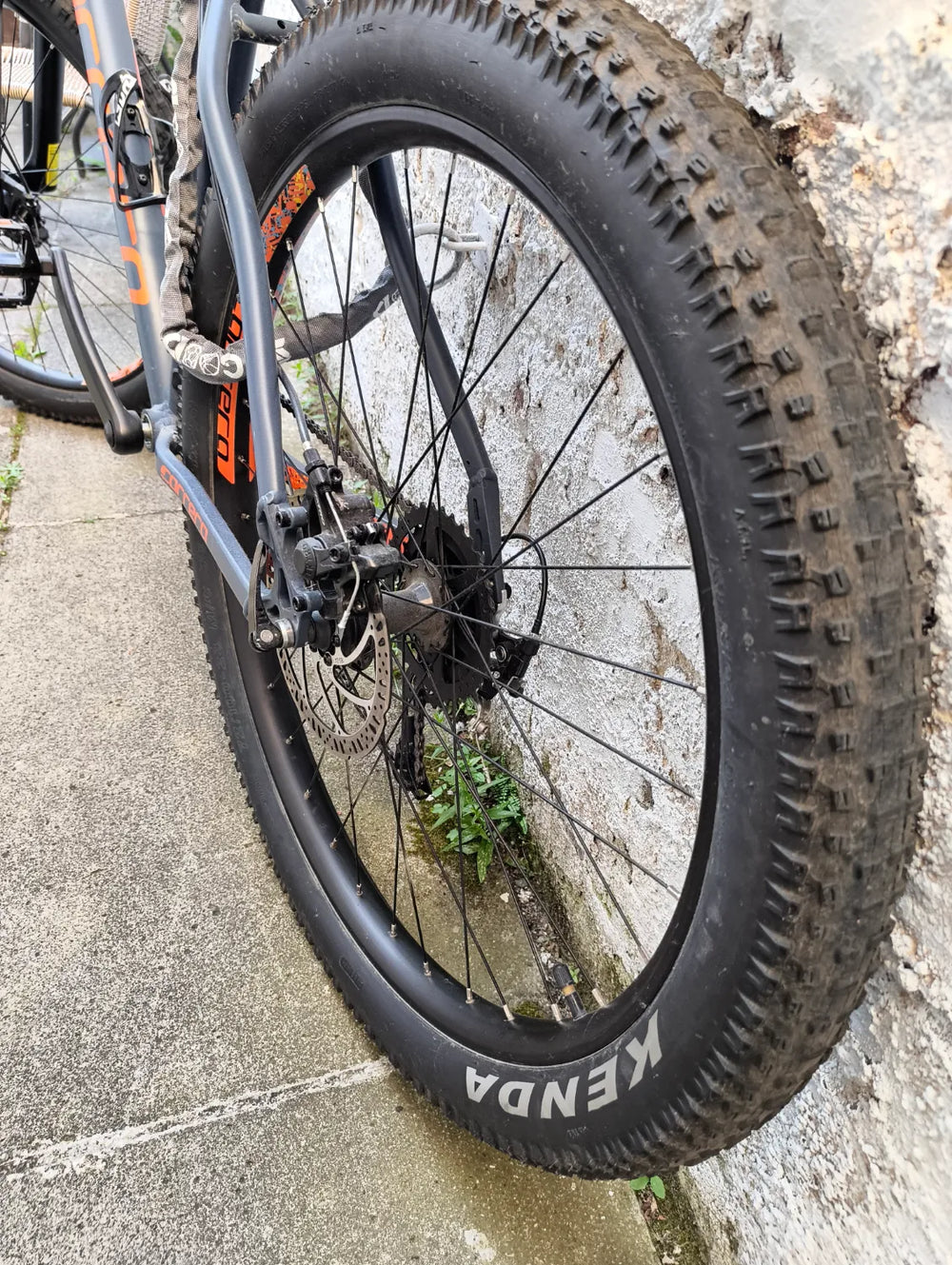 Carrera Vendetta 2020