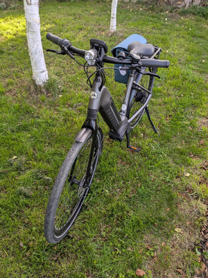 Gazelle Ultimate C380 HMB Belt 2020