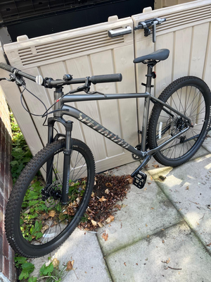 Specialized Rockhopper Expert 29 2025
