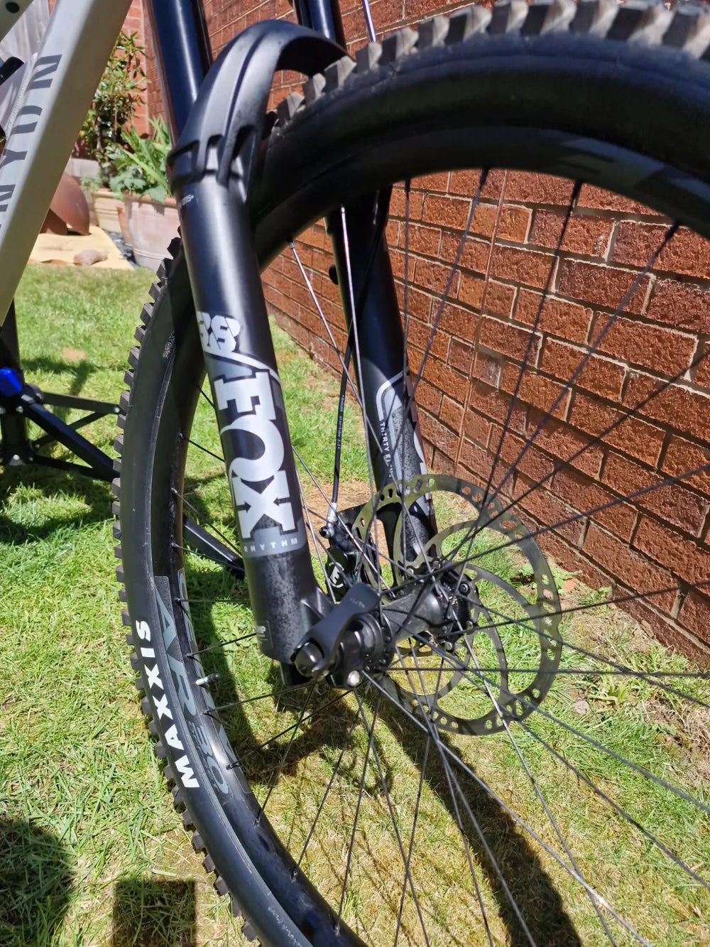 Canyon Torque 5 (Mullet) 2025