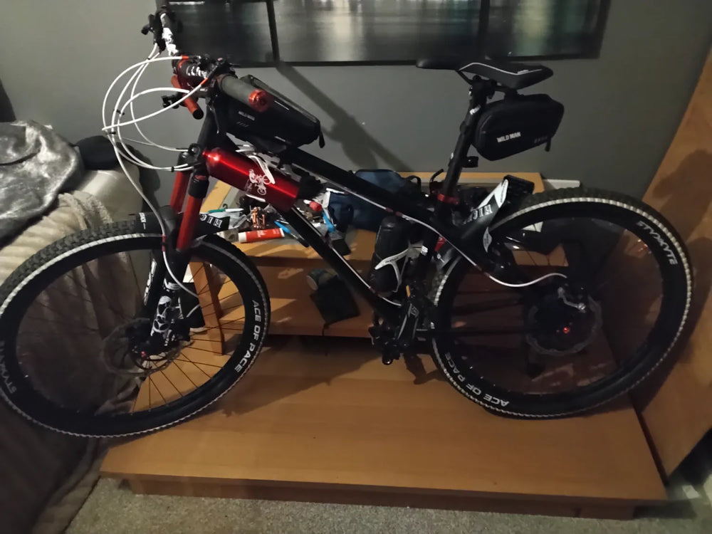 Ns bikes Surge evo 2024