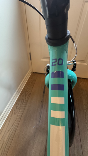 Trek Precaliber 20 2024