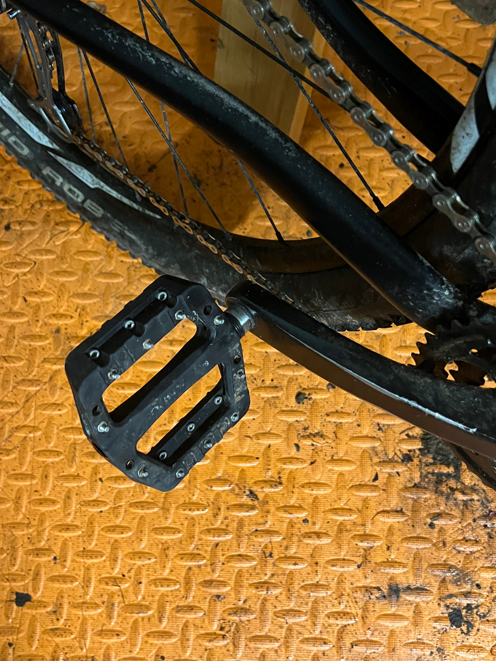 Specialized Rockhopper 2022