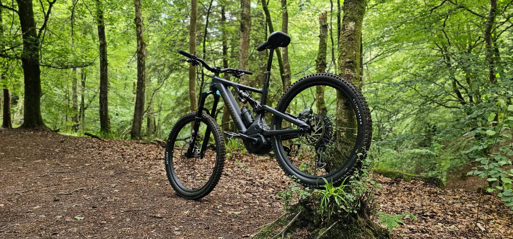 Specialized Levo Comp Alloy G3 2024
