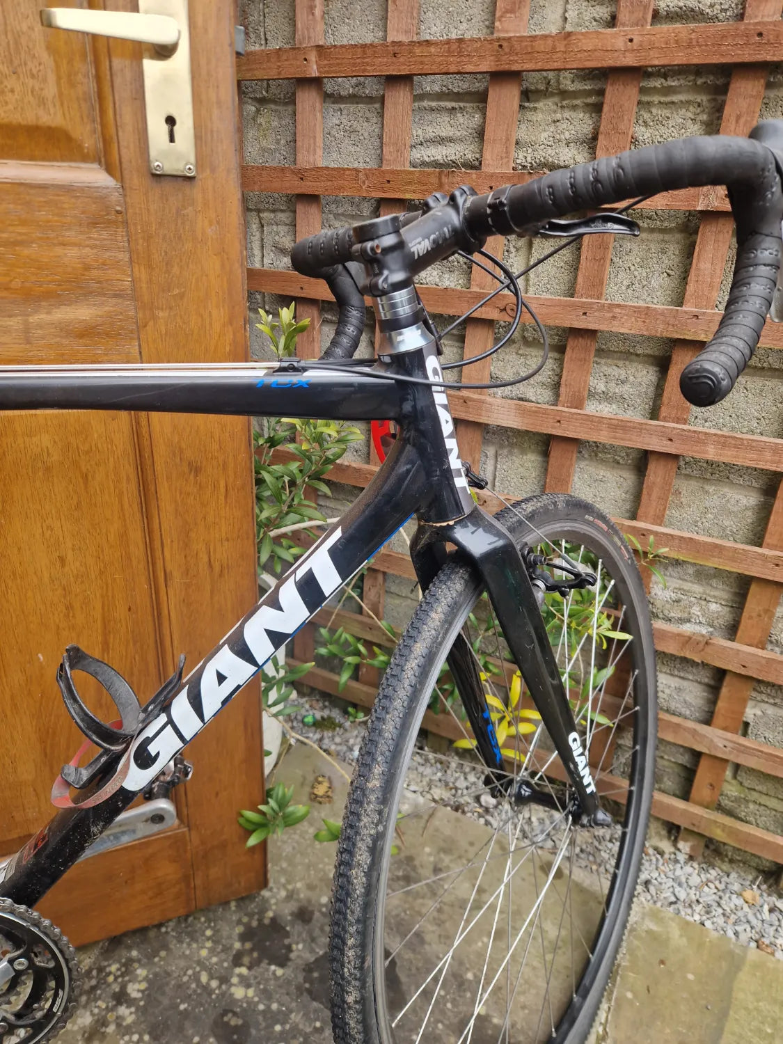 Giant TCX Espoir 24 2016