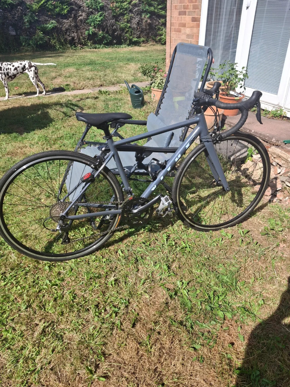 Vitus Razor W 2022