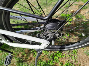 Riese and Muller Homage GT Vario 2023
