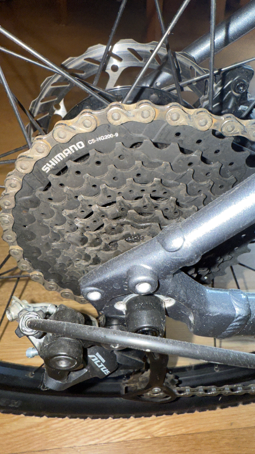 Trek Dual Sport+ 2 Stagger 2023